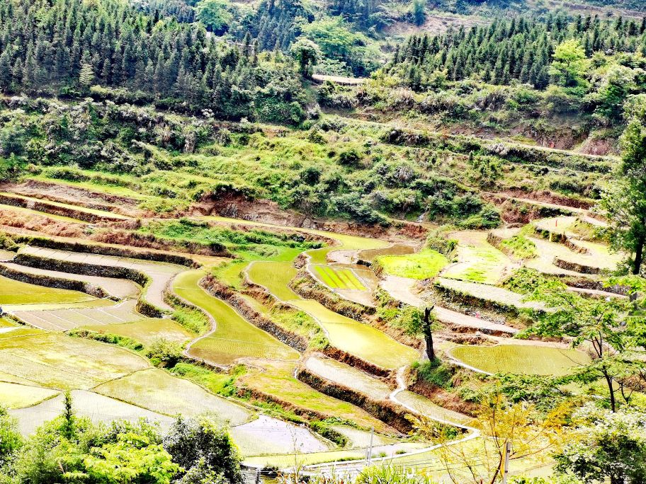 连南油岭民俗瑶寨 - 海口观澜湖高尔夫球场预订-海南高尔夫旅游攻略推荐