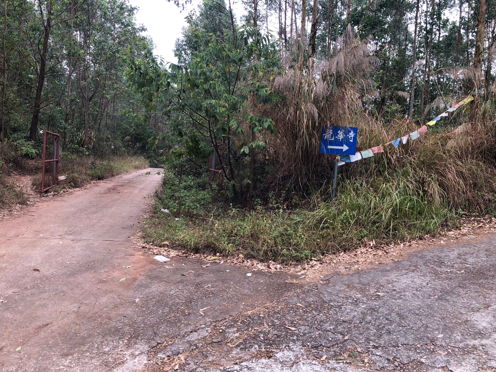 龙华寺 - 星际高球联盟-中国精英人士高尔夫旅游度假实景