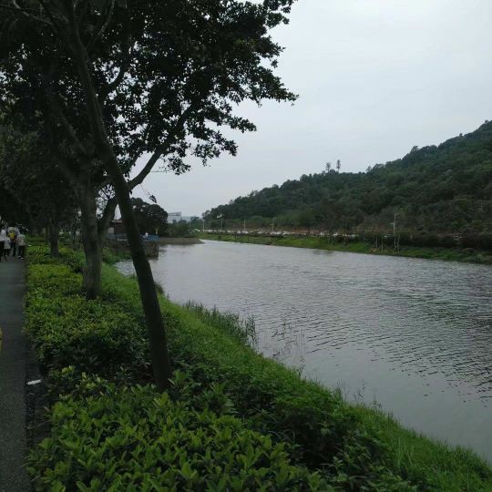 西樵环山花海 - 星际高球联盟-中国精英人士高尔夫旅游度假实景