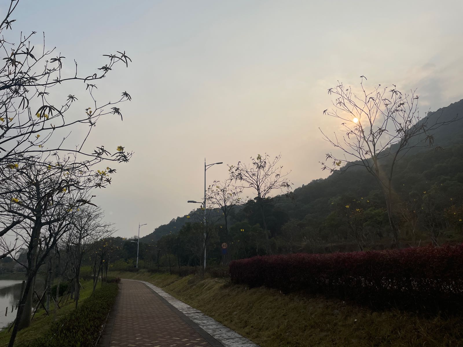 西樵环山花海 - 全国335座高尔夫球场实时预订-高球爱好者一站式订场平台