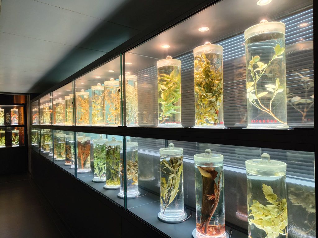 广东中医药博物馆 - 深圳观澜湖高尔夫订场服务-广东专业高尔夫预订平台