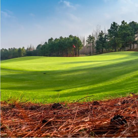 上海东庄海岸高尔夫球会 - 海口观澜湖高尔夫球场预订-海南高尔夫旅游攻略推荐