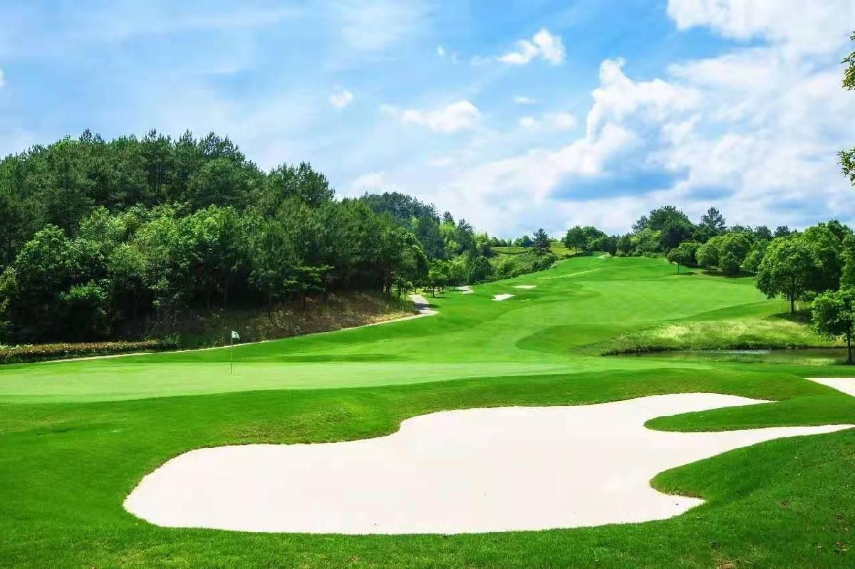 福建武夷山太伟风景·1球1晚 - undefined