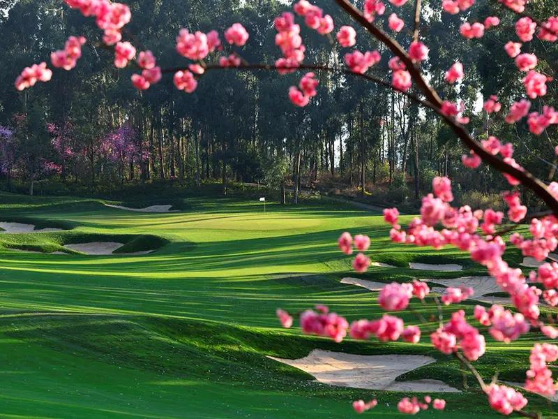 昆明春城湖畔·2球2晚 - 星际高球联盟-中国精英人士高尔夫旅游度假实景