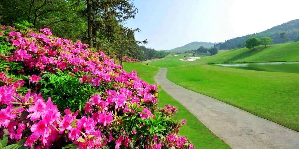 南京银杏湖·1球1晚 - 高尔夫1球1晚特惠套票-星际高球联盟精选旅游套餐