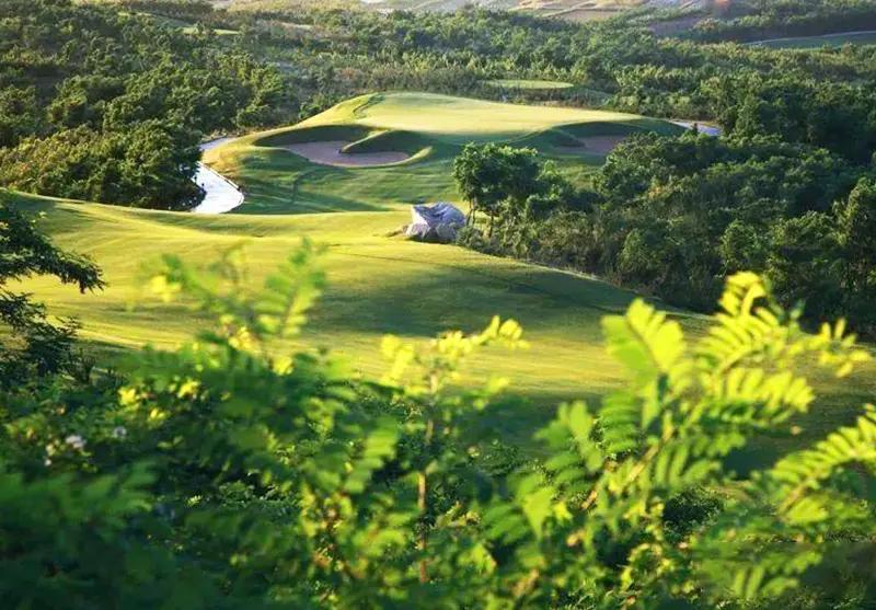 山东烟台翠园/翠谷/南山国际/佛光/佛光二期/君顶·2球1晚 - 高尔夫1球1晚特惠套票-星际高球联盟精选旅游套餐