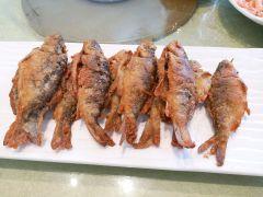 小北江河鲜(新城店) - 海口观澜湖高尔夫球场预订-海南高尔夫旅游攻略推荐
