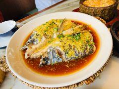 绿茶餐厅(龙井总店) - undefined