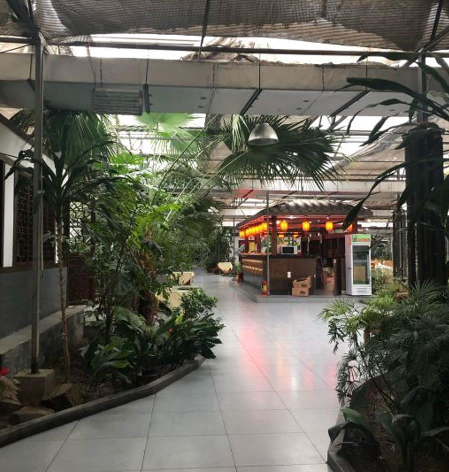 神农庄园酒店（胜利北大街店） - 海口观澜湖高尔夫球场预订-海南高尔夫旅游攻略推荐