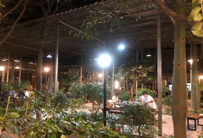 花开藤蔓 - 全国335座高尔夫球场实时预订-高球爱好者一站式订场平台