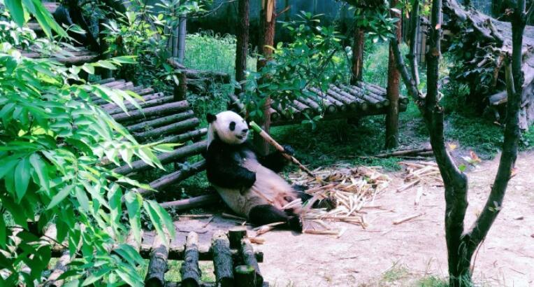 安吉竹博园 - 高尔夫1球1晚特惠套票-星际高球联盟精选旅游套餐