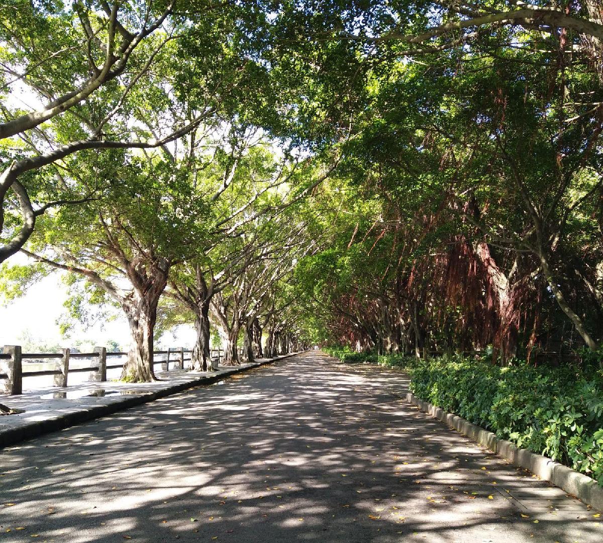 南沙湿地景区 - 阳江保利银滩高尔夫套票-海滨高尔夫旅游1球1晚套餐