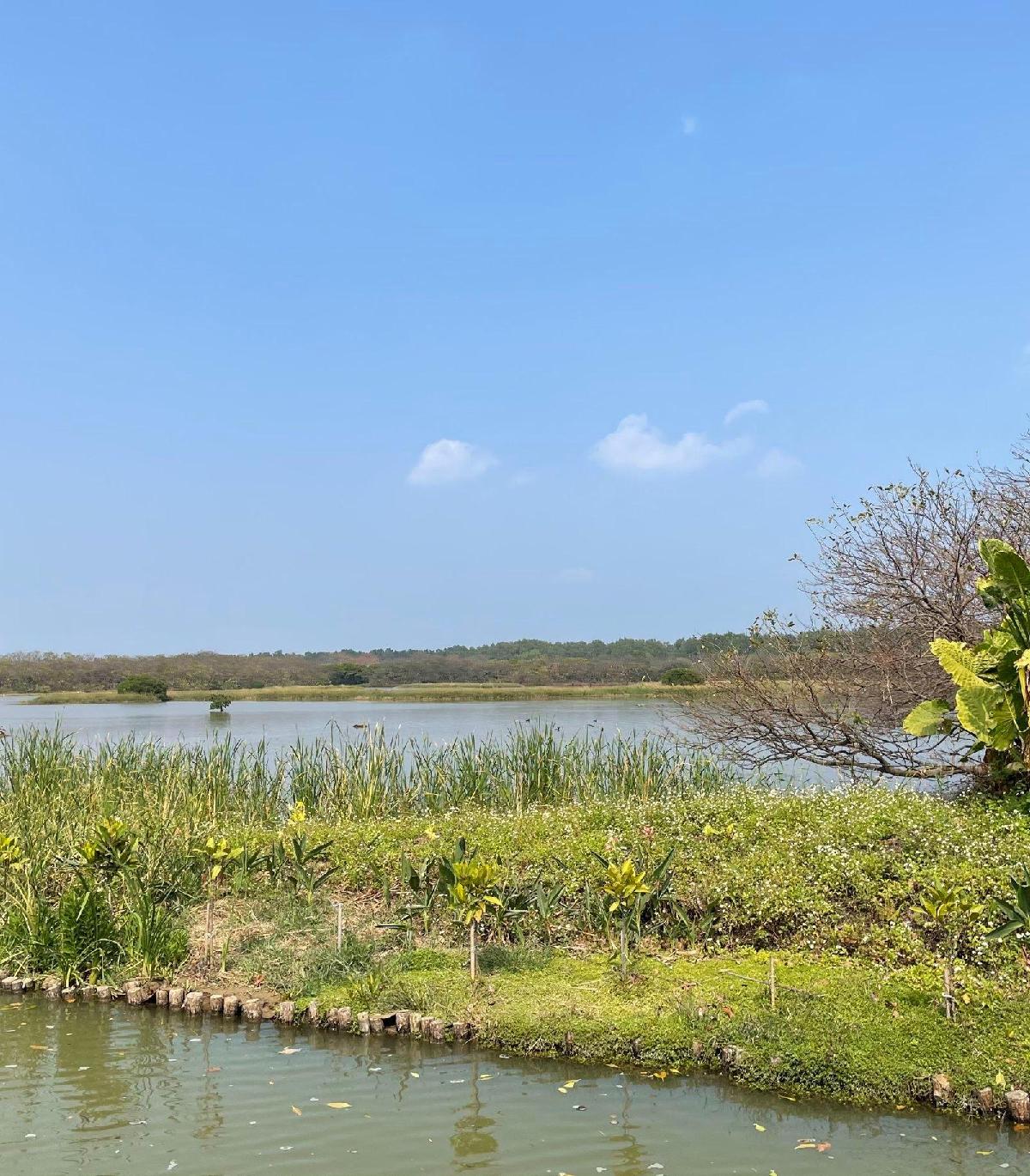 南沙湿地景区 - 深圳观澜湖高尔夫订场服务-广东专业高尔夫预订平台