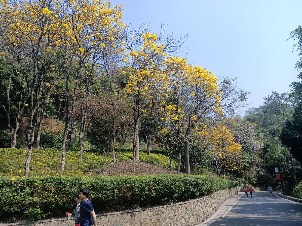 白云山 - 深圳观澜湖高尔夫订场服务-广东专业高尔夫预订平台