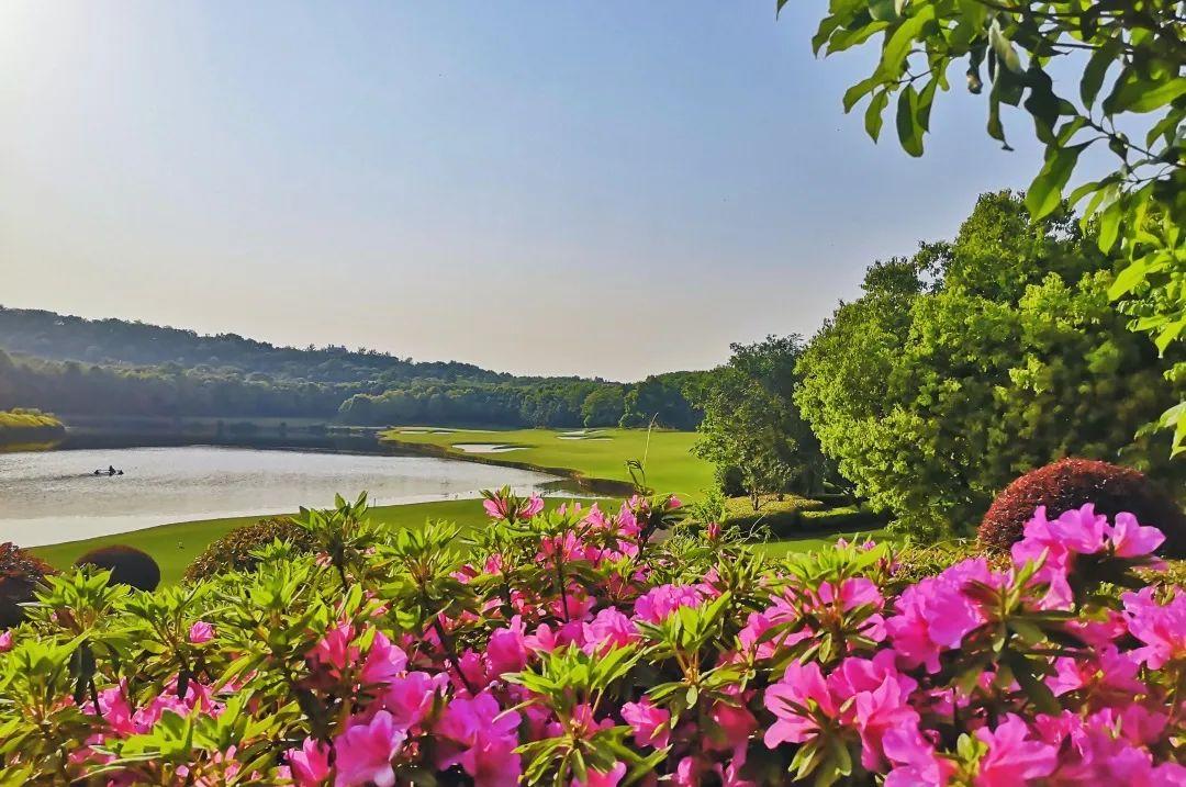 南京钟山国际·1球1晚 - 全国335座高尔夫球场实时预订-高球爱好者一站式订场平台