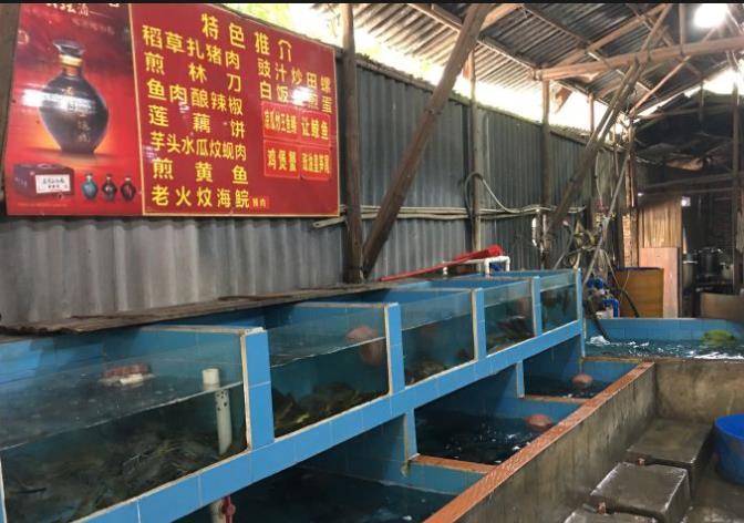 望江亭河鲜棚 - 全国335座高尔夫球场实时预订-高球爱好者一站式订场平台