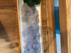 五星桥肥牛火锅(古方路店) - 阳江保利银滩高尔夫套票-海滨高尔夫旅游1球1晚套餐