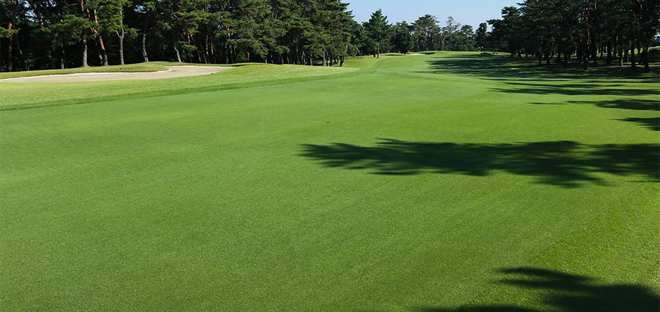 霞关高尔夫球会 - undefined