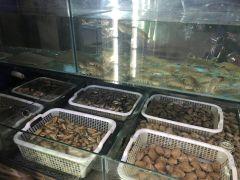 鸿凤餐馆 - 星际高球联盟-中国精英人士高尔夫旅游度假实景
