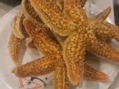 圣罗巴烤肉海鲜自助(鲅鱼圈店) - 全国335座高尔夫球场实时预订-高球爱好者一站式订场平台