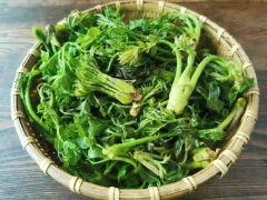 咱家老院子 - 阳江保利银滩高尔夫套票-海滨高尔夫旅游1球1晚套餐