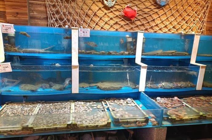 船泊丽港（统一路店） - 全国335座高尔夫球场实时预订-高球爱好者一站式订场平台