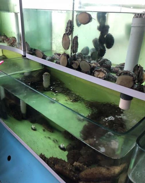 康王肥牛（石岛店） - 高尔夫1球1晚特惠套票-星际高球联盟精选旅游套餐