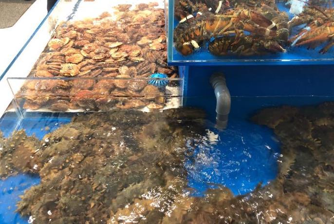 老刺参海鲜酒楼 - 全国335座高尔夫球场实时预订-高球爱好者一站式订场平台