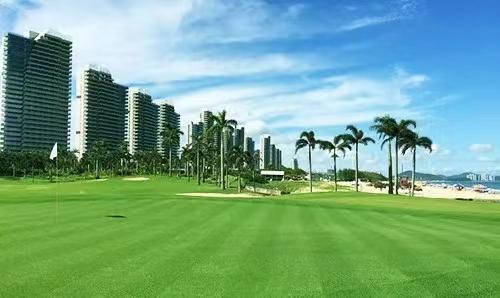 阳江保利银滩·1球1晚 - 全国335座高尔夫球场实时预订-高球爱好者一站式订场平台