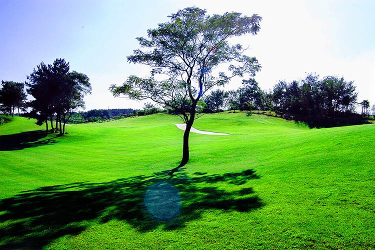 阳江保利银滩·1球1晚 - 星际高球联盟-中国精英人士高尔夫旅游度假实景