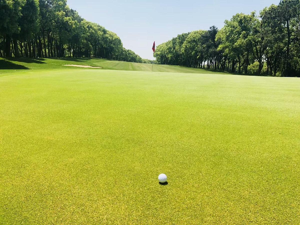 南昌保利/翠林/庐山·3球2晚 - 星际高球联盟-中国精英人士高尔夫旅游度假实景