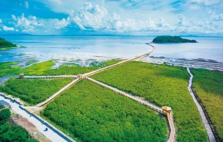 海陵岛红树林国家湿地公园 - 星际高球联盟-中国精英人士高尔夫旅游度假实景