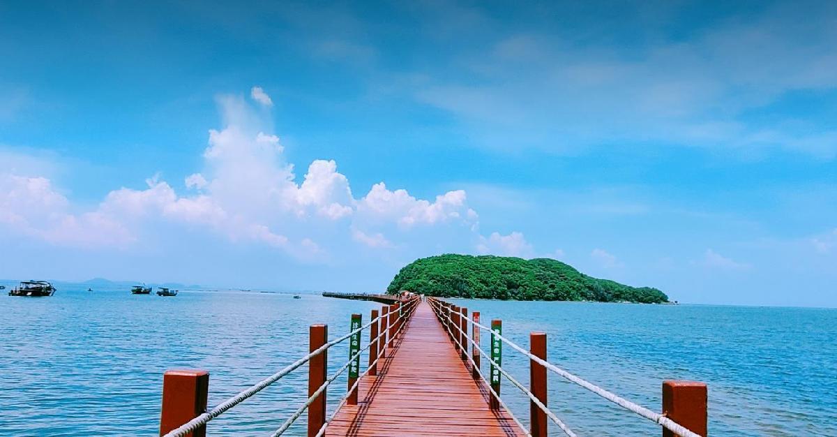 海陵岛红树林国家湿地公园 - 高尔夫1球1晚特惠套票-星际高球联盟精选旅游套餐