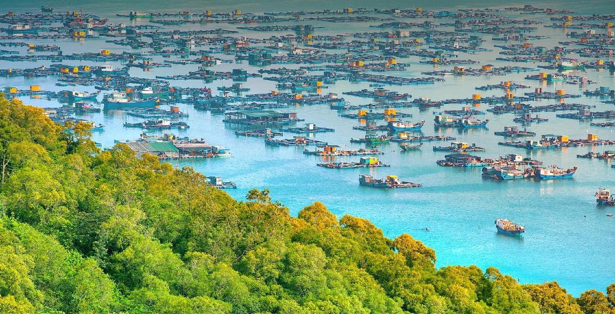 海陵岛 - 星际高球联盟-中国精英人士高尔夫旅游度假实景