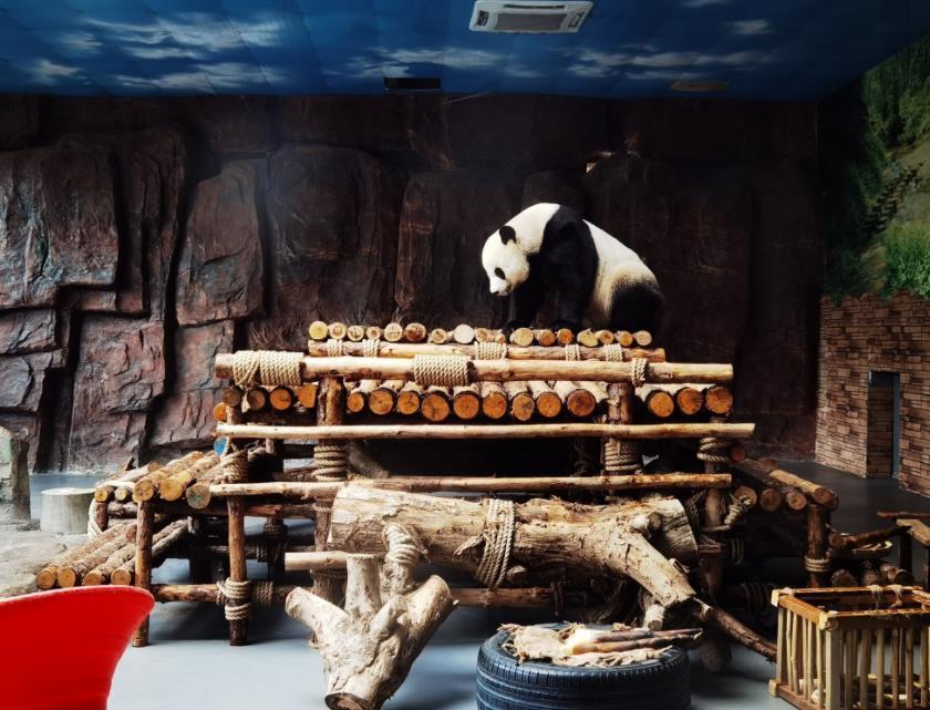 东莞香市动物园 - 高尔夫1球1晚特惠套票-星际高球联盟精选旅游套餐