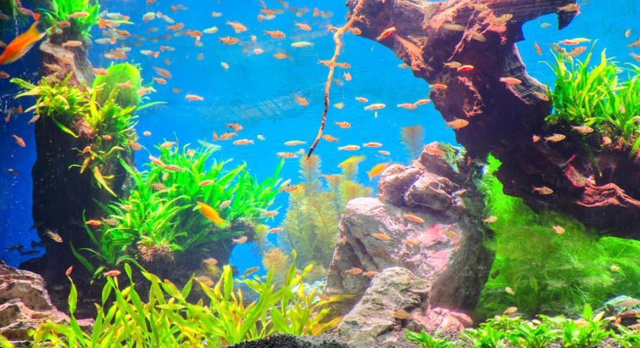 海立方海洋公园 - 高尔夫1球1晚特惠套票-星际高球联盟精选旅游套餐