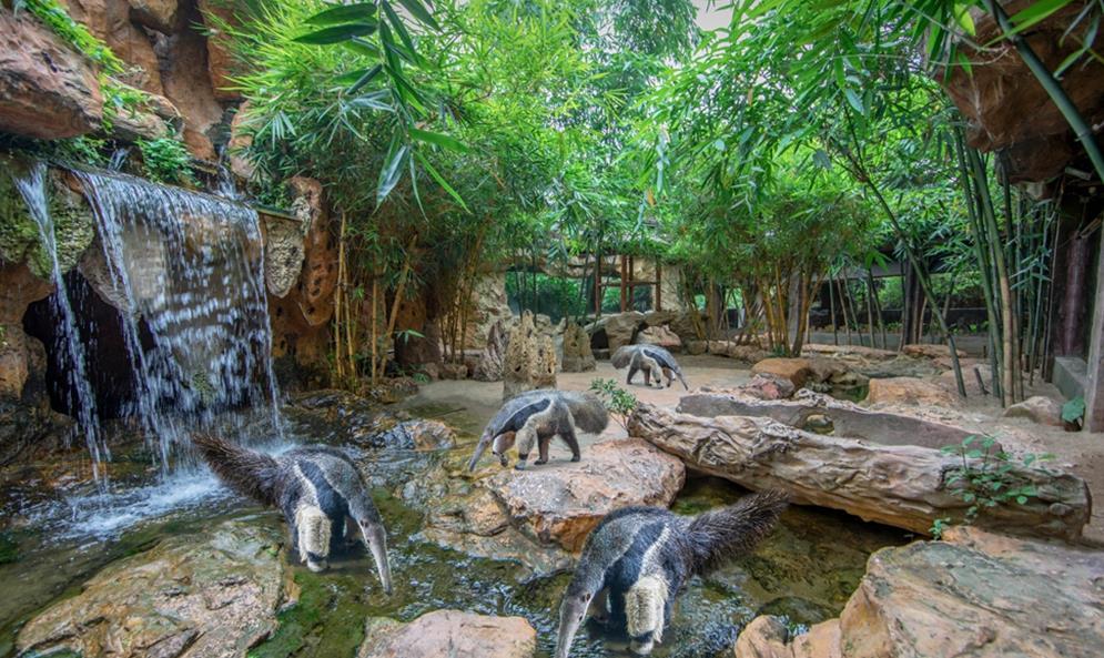 长鹿旅游休博园 - 高尔夫1球1晚特惠套票-星际高球联盟精选旅游套餐