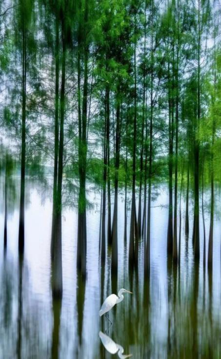 东莞松山湖风景区 - undefined