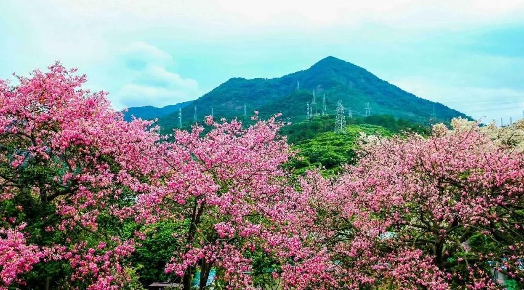 东莞观音山旅游风景区 - undefined