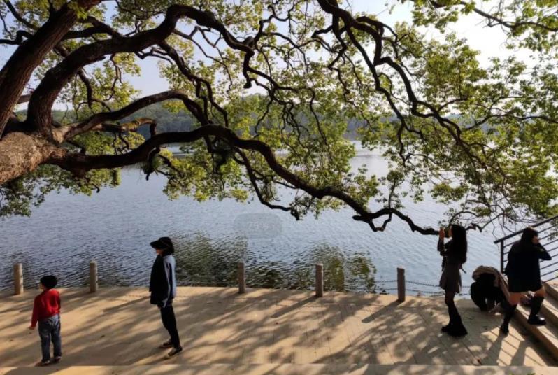 同沙生态公园 - 高尔夫1球1晚特惠套票-星际高球联盟精选旅游套餐