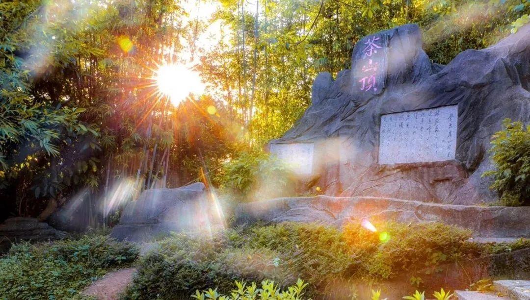 大岭山森林公园 - undefined