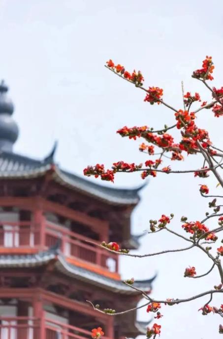 华阳湖国家湿地公园 - 阳江保利银滩高尔夫套票-海滨高尔夫旅游1球1晚套餐