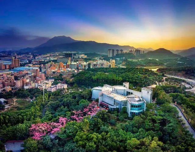 大岭山森林公园 - 深圳观澜湖高尔夫订场服务-广东专业高尔夫预订平台