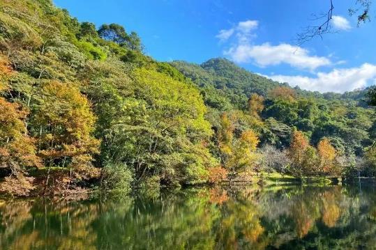 石门国家森林公园 - 全国335座高尔夫球场实时预订-高球爱好者一站式订场平台