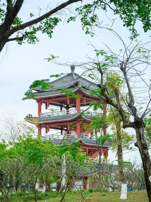 华阳湖国家湿地公园 - 深圳观澜湖高尔夫订场服务-广东专业高尔夫预订平台