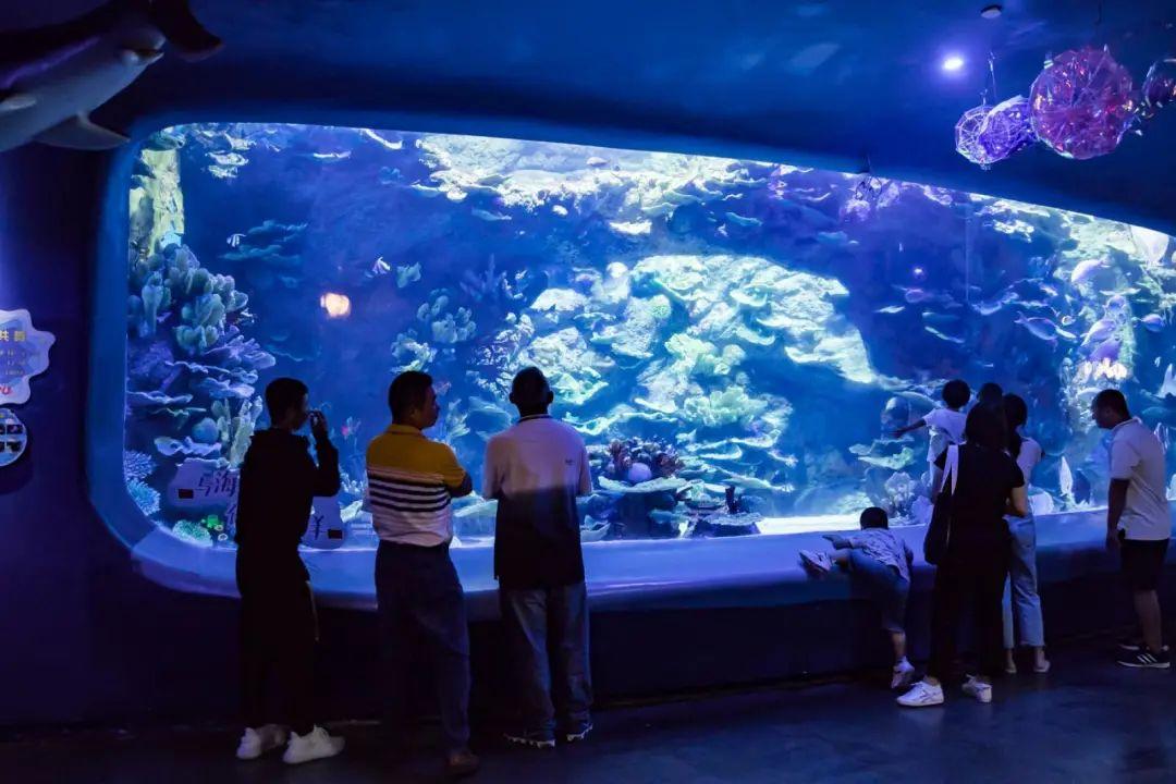 欢乐海岸海洋奇梦馆 - 高尔夫1球1晚特惠套票-星际高球联盟精选旅游套餐