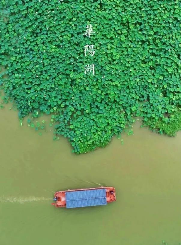 华阳湖国家湿地公园 - 星际高球联盟-中国精英人士高尔夫旅游度假实景