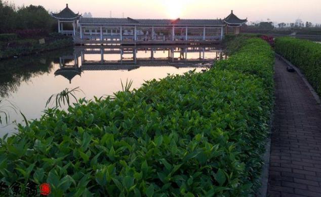 广州海珠国家湿地公园 - 星际高球联盟-中国精英人士高尔夫旅游度假实景