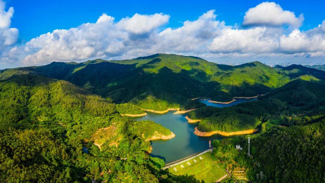 大岭山森林公园 - undefined