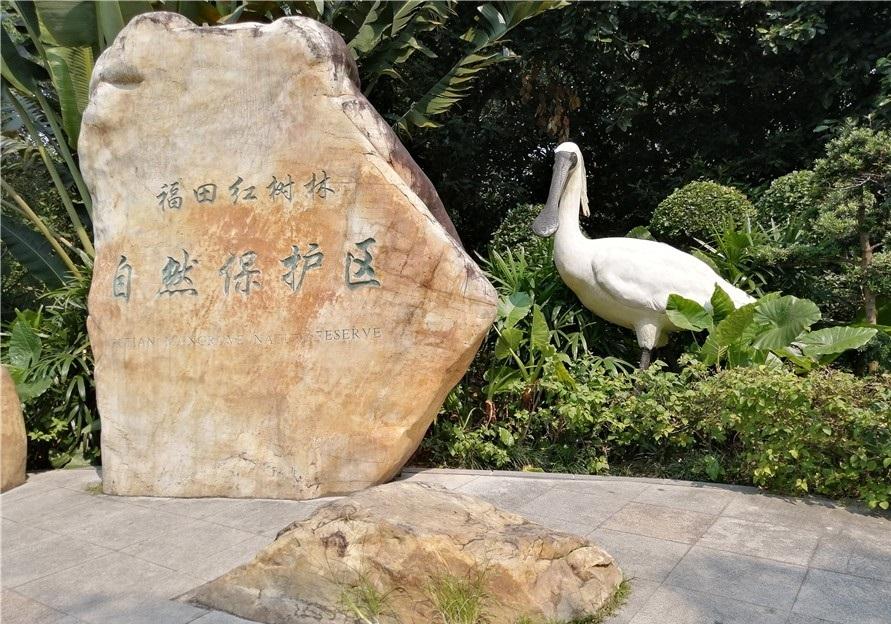福田红树林自然保护区 - 全国335座高尔夫球场实时预订-高球爱好者一站式订场平台